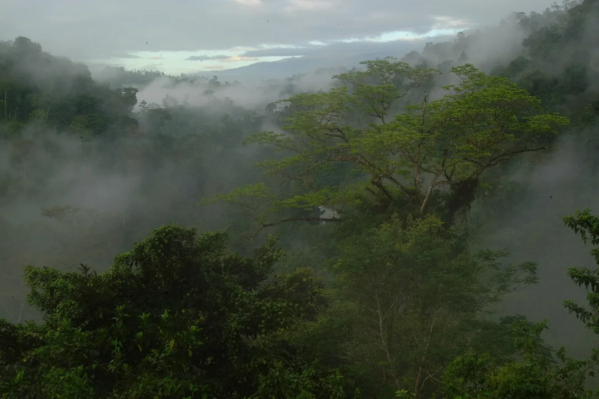 Monteverde & Santa Elena Cloud Forest